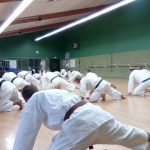 Entrainement shorinji kempo Pontchâteau