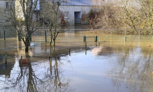 FB_IMG_1738131937213