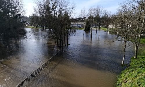 FB_IMG_1738131958218