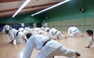 Entrainement shorinji kempo Pontchâteau